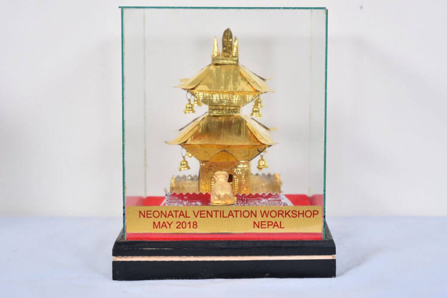 Neonatal Ventilation Workshop 2018-Nepal